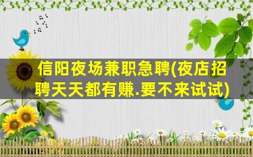 朝阳夜场招聘